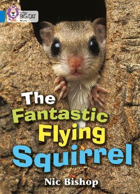 Big Cat  4 The Fantastic Flying Squirrel.