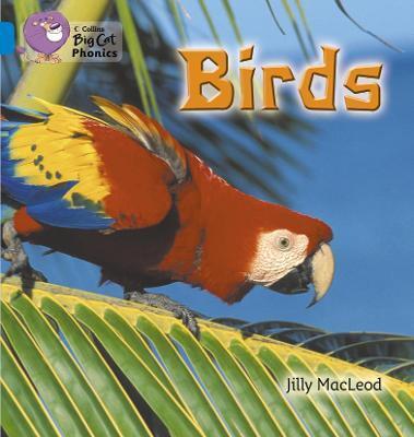 Big Cat Phonics 4 Birds.