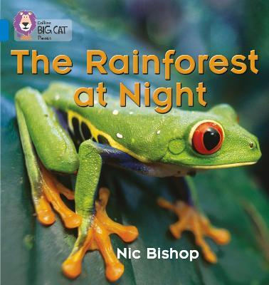 Big Cat Phonics 4 The Rainforest at Night.