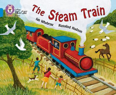 Big Cat  4 The Steam Train.
