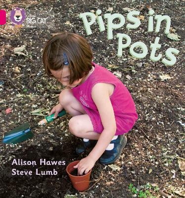 Big Cat Phonics 1B Pips in Pots.