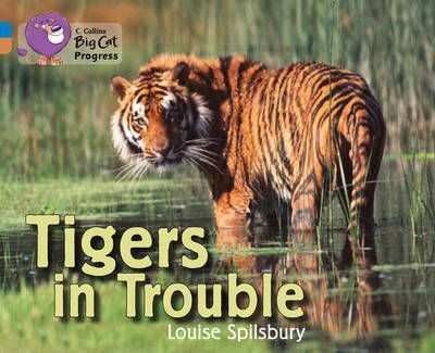 Big Cat Progress 4/12 Tigers in Trouble.