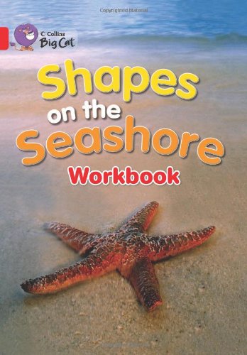 Big Cat  2A Shapes on the Seashore. Workbook.