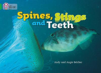 Big Cat  5 Spines, Stings and Teeth. Workbook.
