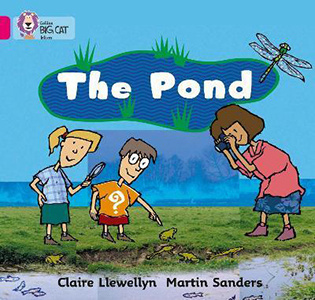 Big Cat  1B The Pond. Workbook.