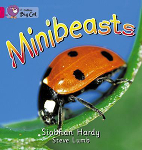 Big Cat  1A Minibeasts. Workbook.