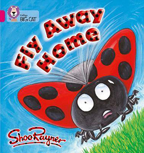 Big Cat  1B Fly Away Home. Workbook.