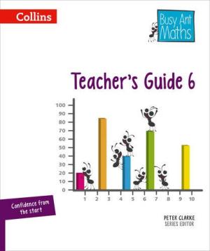 Busy Ant Maths 6 Teacher's Guide European edition