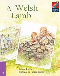 CSB 4 A Welsh Lamb