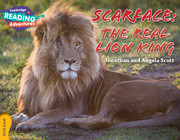CRA Scarface: The Real Lion King Gold Band