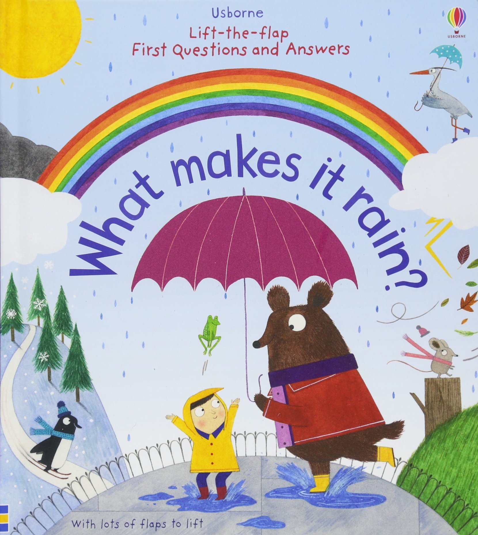 Lift-the-Flap First Questions & Answers: What Makes it Rain?