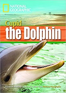 FRL1600 B1 Cupid the Dolphin
