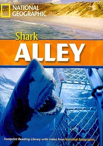 FRL2200 B2 Shark Alley