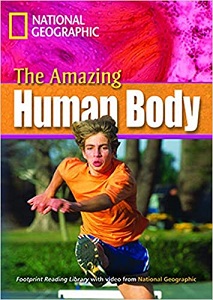 FRL2600 C1 Human Body