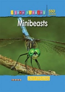 I Love Reading: 550 Words. Minibeasts