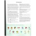 Smart Book for Ukraine НУШ 2 Teacher s Book SJ