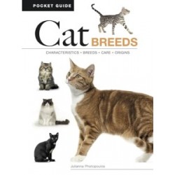 Cat Breeds: Characteristics, Breeds, Care, Origins