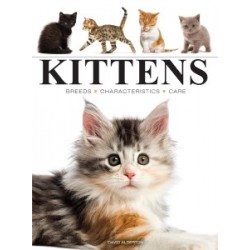 Kittens