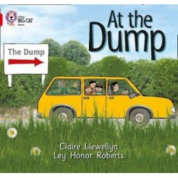 Big Cat  2B At the Dump. Workbook. 