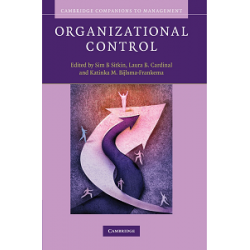 Organizational Control