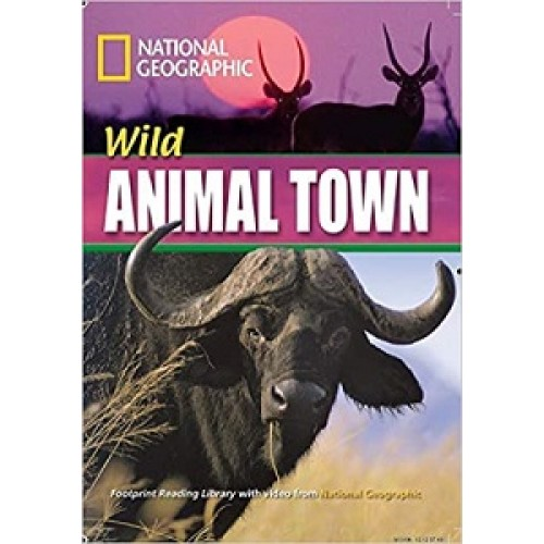 FRL1600 B1 Wild Animal Town (British English) 