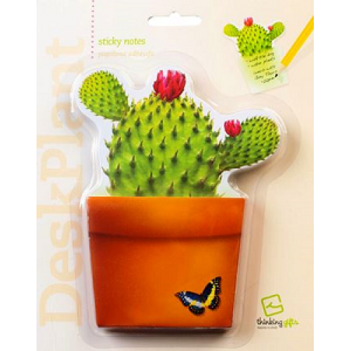 Bloomnotes Cactus