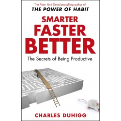 Smarter Faster Better: The Secrets of Being Productive