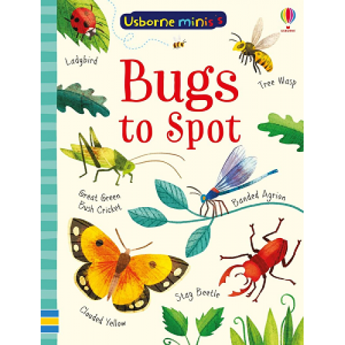Minis: Bugs to Spot