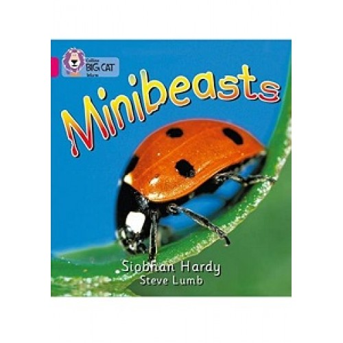 Big Cat  1A Minibeasts. 