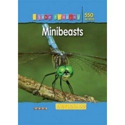 I Love Reading: Minibeasts (550 Words)