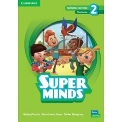 Super Minds  2nd Edition 2 Flashcards British English (pack of 214)