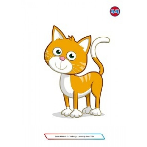 Quick Minds (Ukrainian edition) НУШ 1 Flashcards
