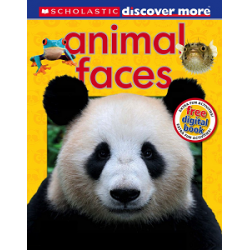 Discover More: Animal Faces