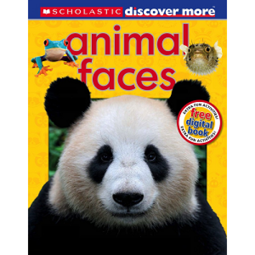 Discover More: Animal Faces