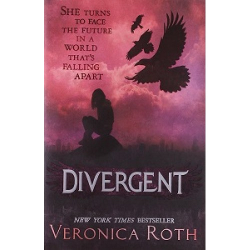 Divergent Series Book1: Divergent 