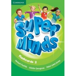 Super Minds 2 Flashcards (Pack of 103)