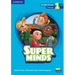 Super Minds  2nd Edition 1 Flashcards British English (pack of 214)