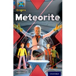 Project X Origins 15 Meteorite