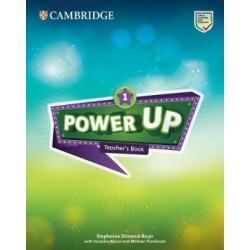 Power Up Level 1 Teacher's Book