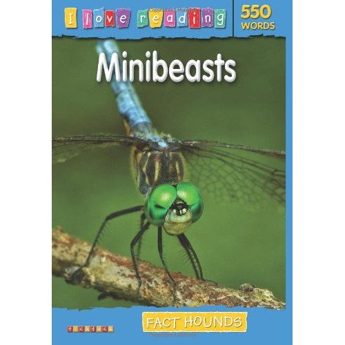 I Love Reading: 550 Words. Minibeasts
