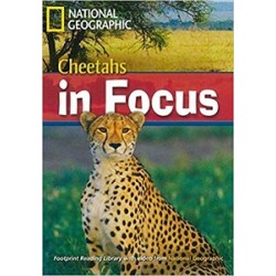 FRL2200 B2 Cheetahs in Focus! with Mulri-ROM