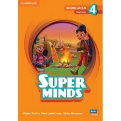 Super Minds  2nd Edition 4 Flashcards British English (pack of 178)