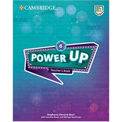 Power Up Level 6 Teacher's Book