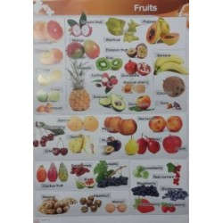 MM Poster Fruits