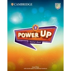 Power Up Level 2 Teacher's Book