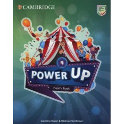 Power Up Level 4 Pupil's Book