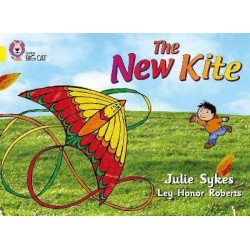 Big Cat  3 The New Kite. Workbook. 