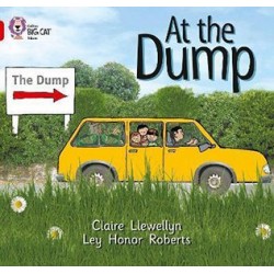 Big Cat  2B At The Dump.