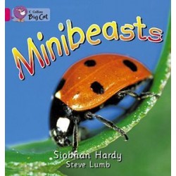 Big Cat  1A Minibeasts. Workbook. 