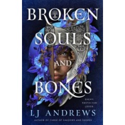 Stonegate Book1: Broken Souls and Bones